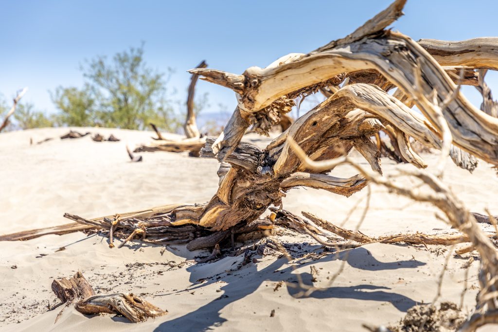 deathvalley-4