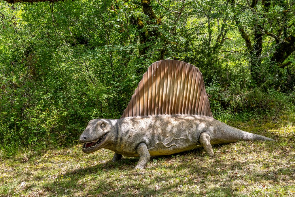 dinoparc-2