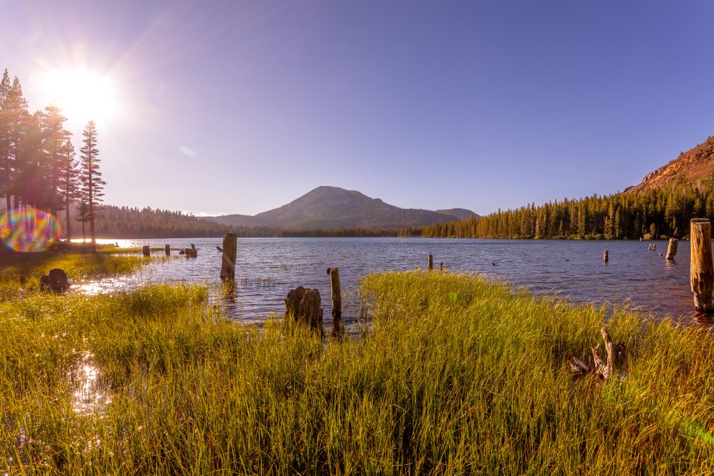 mammoth-2