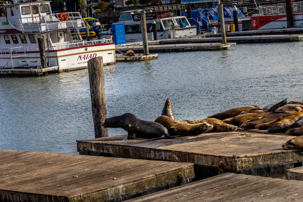 sanfrancisco-4