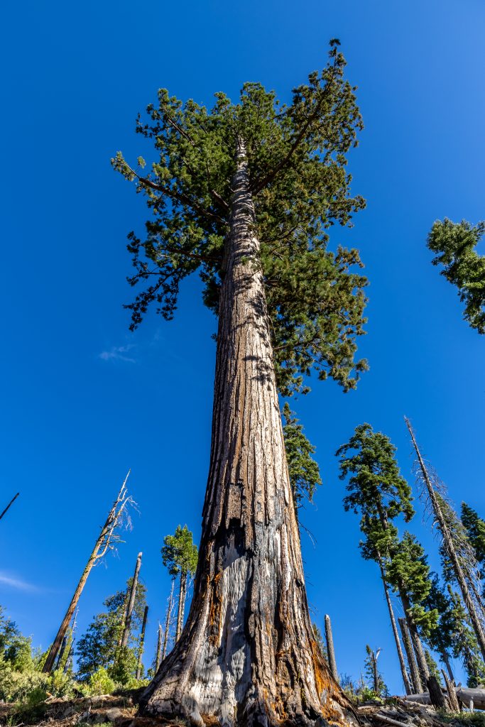 yosemite-4