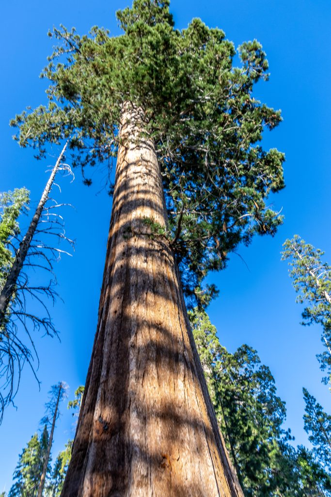 yosemite-7