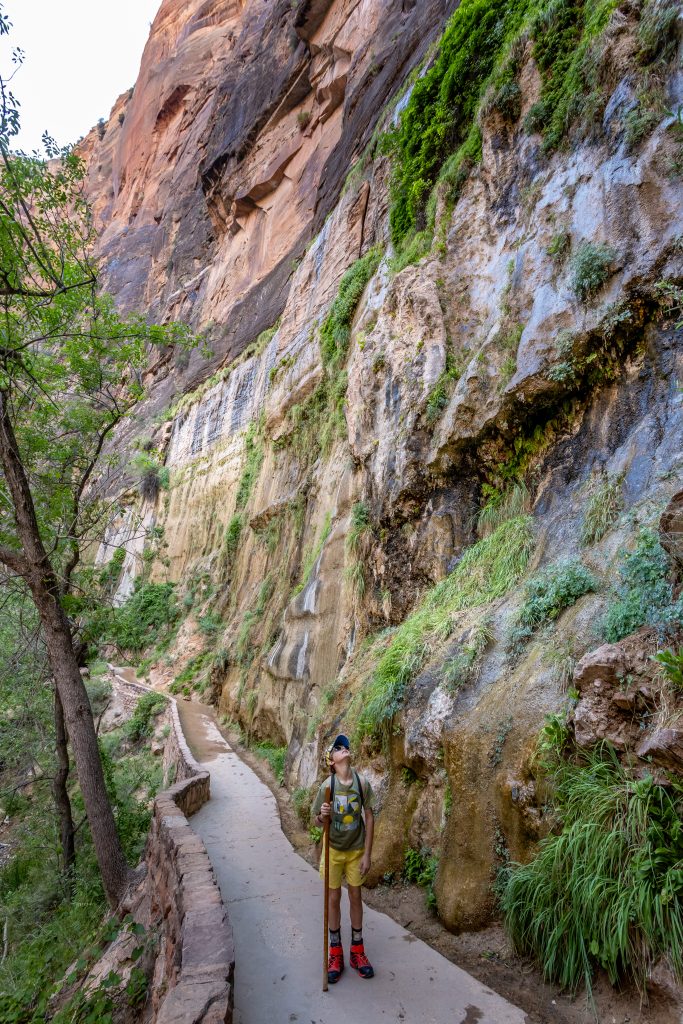 zion-2